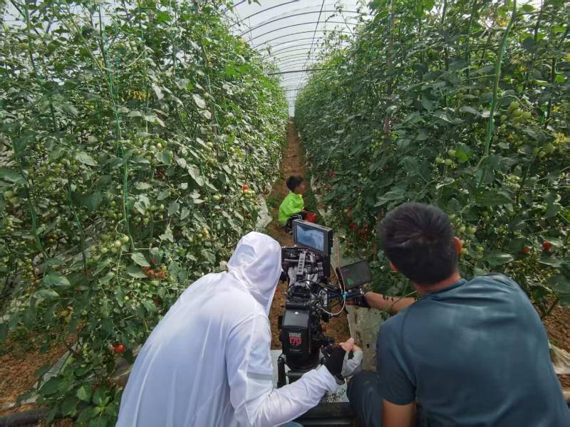 鹤山区产品宣传视频拍摄公司进阶指南，助力品牌抢占传播高地